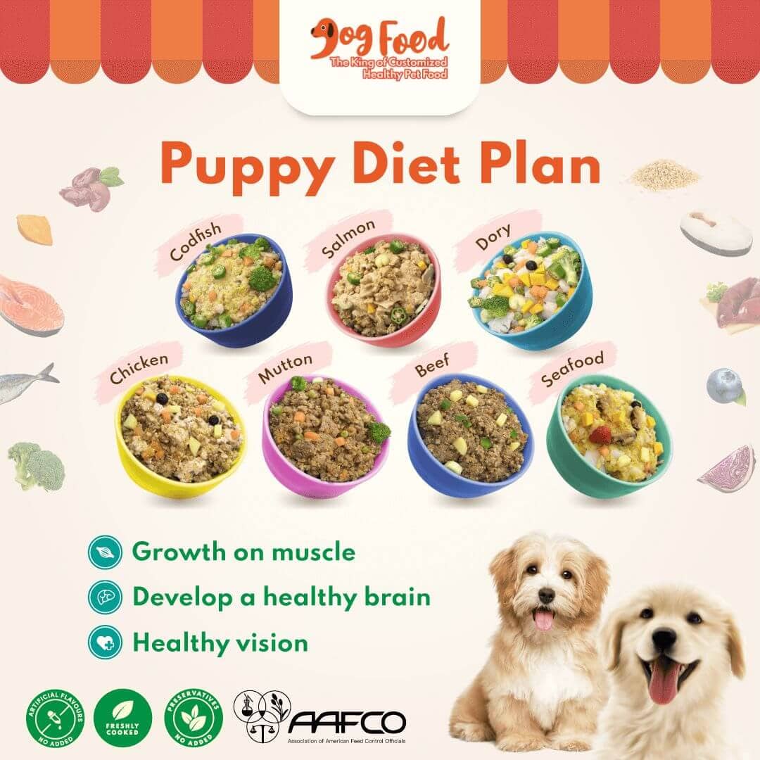 fresh dog food plans